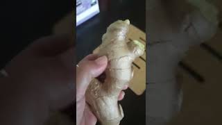 Kuntil ng Luya mabisang pampaswerte 🍀😱 #fypシ