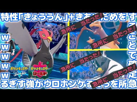 1000以上 ポケモン きょううん ワンピースコレクション