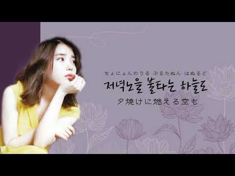 【日本語字幕/カナルビ /歌詞】IU(아이유)'Everyday with You(매일 그대와)(毎日あなたと)’