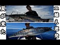 南国の灼熱ジギング【奄美大島】