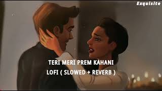 Teri Meri Prem Kahani [Slow + Reverb] - Rahat Fateh Ali Khan, Shreya Ghoshal | Exquisite