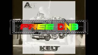 Kelt ~ Schtz (A41 Records) @freednb