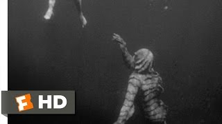 Creature from the Black Lagoon (4\/10) Movie CLIP - Underwater Stalking (1954) HD