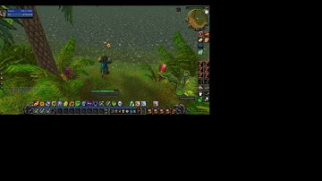 SHAMAN leveling in tank spec WoW Classic - World of Warcraft