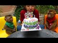Wow Amazing Baby Monkey!! Dodo Very Surprise Birthday Cake 19 Months Old
