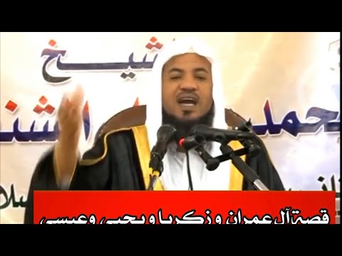 لماذا سمى الله ابن سيدنا زكريا ب يحيى الشيخ محمد الشنقيطي