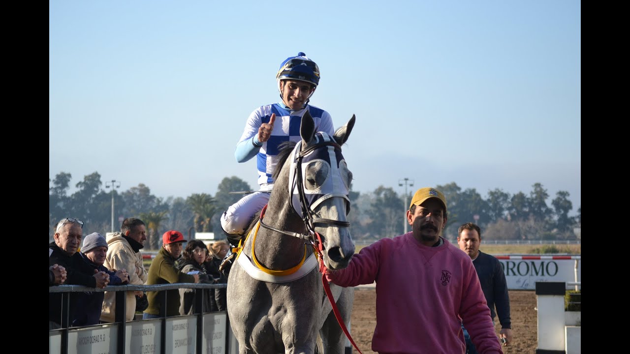 Clásico Vit Reina 2025 - Mimosa Grey (Zensational)