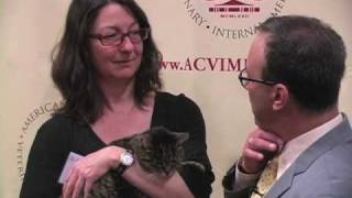 Owner discusses cat's cancer diagnosis, treatment, and recovery