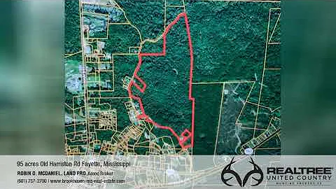 95 acres For Sale Jefferson County Fayette Mississippi