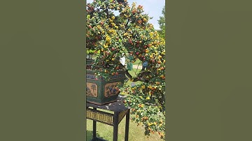 qui nhơn bình định năm 2023