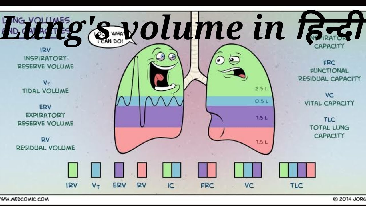 Lung volume and capacity by yogesh nagar dhakar YouTube