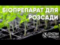 Захист від хвороб та стимуляція росту розсади. Фітодоктор СТАРТ біопрепарат для насіння і розсади.