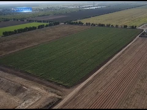 Херсон Плюс: Науковці Херсонщини занепокоєні можливим розпаюванням земель державних і комунальних с/г підприємств Херсон Плюс: Науковці Херсонщини занепокоєні можливим розпаюванням земель державних і комунальних с/г підприємств