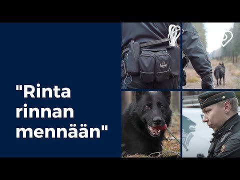 Video: Kuinka Oppia Olemaan Koiranohjaaja