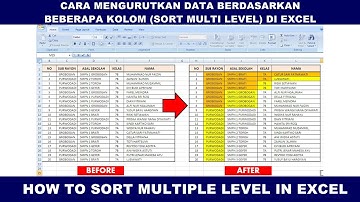 Cara Mengurutkan Data Berdasarkan Beberapa Kolom Sort Multi Level di Excel