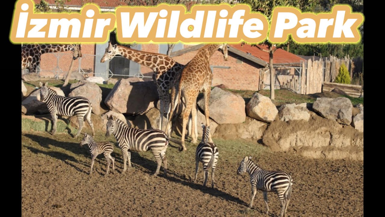 Izmir wildlife Park Part2