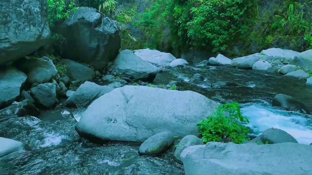 A Haven of Tranquility | The Sacred Sound of a Secluded River