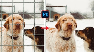 Remove Fence with 2 Simple Steps in Photoshop! 2023