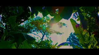 Cinematic Alam 1 Menit | Cinematic Alam No Copyright | Nature Cinematic | Backsound Cinematic Keren