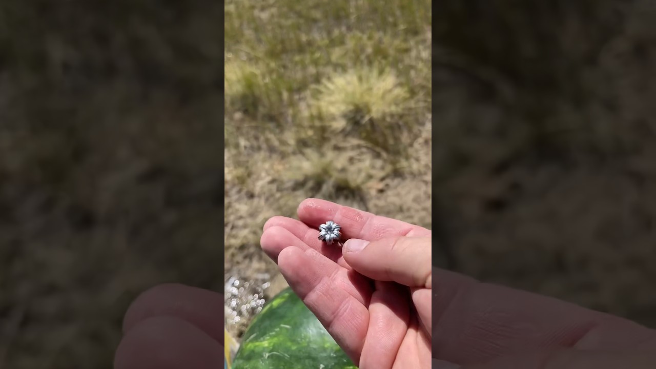 .30 Super Carry против арбуза 🍉 