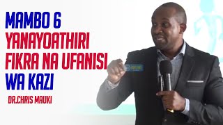 Dr. Chris Mauki: Mambo 6 Yanayoathiri Fikra Na Ufanisi wa Kazi