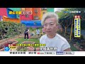雞隻住"彩色球籠"散步覓食 為"防狗追咬"如行動套房!│中視新聞 20260723
