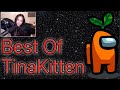 Best Of TinaKitten Among Us