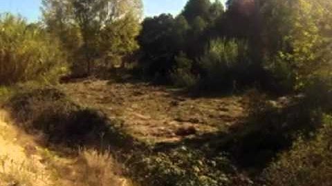 Time Lapse - JCB 1CX Clearing a plot of overgrown grapes.