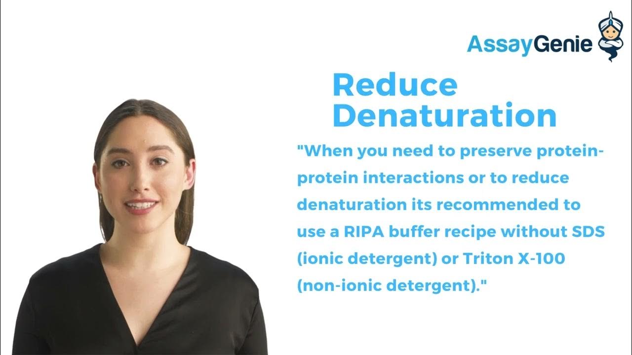 RIPA Buffer Protocol & Recipe YouTube