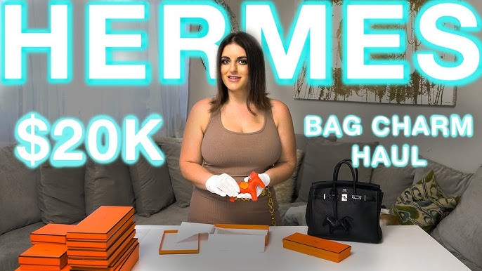 Hermès Kelly Depeches 25 Pouch Unboxing (Galop d'Hermes Leather) 