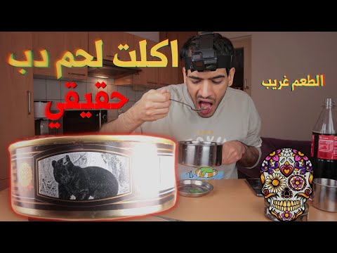 فيديو: هل الدب من آكلات اللحوم؟