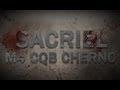 DayZ M4 CCO CQB Cherno warfare