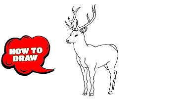 How to draw DEER - learn to draw DEER in  easy steps advanced drawing tutorial