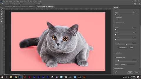 Photoshop   Quick Selection + Select and Mask