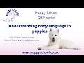 Puppy School Q&A series - Understanding body language in puppies