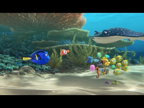 Alla Ricerca di Dory - Teaser Trailer Ufficiale Italiano | HD