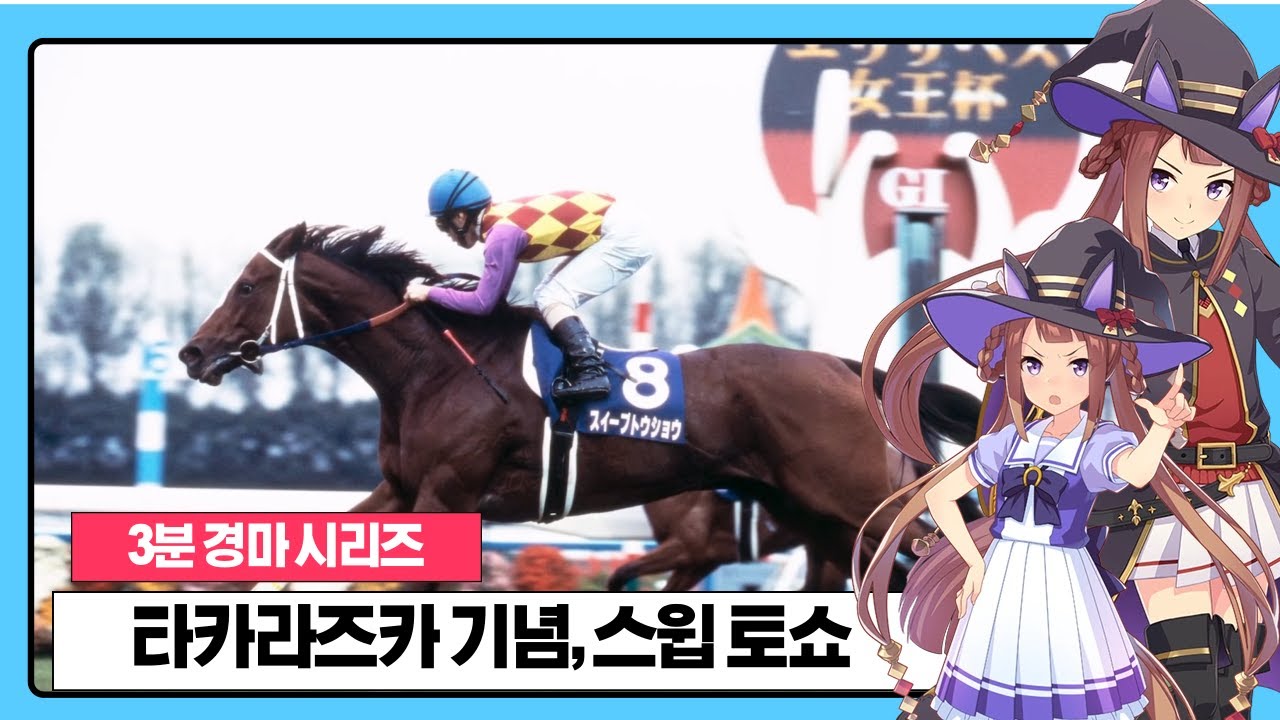 JRA第21回エリザベス女王杯G1優勝馬ダンスパートナー JRA第21回エリザベス女王杯G1優勝馬ダンスパートナー