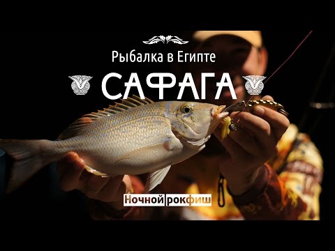 Рыбалка в Египте. Ночной рокфишинг.