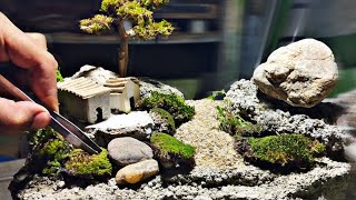 miniature moss garden ll moss garden ll moss ll mini garden ll #moss