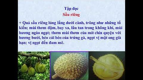 Tập đọc lớp 4   Tuần 22   Bài  Sầu riêng