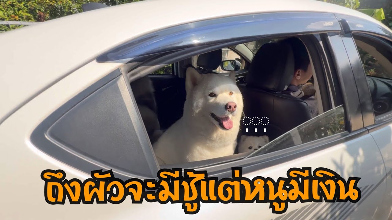 เก่งพาไปเที่ยวขับรถเข้าไปในป่าไม่มีจุดหมายสุดท้ายไปโผลที่ไม่คิดว่าจะเจอ