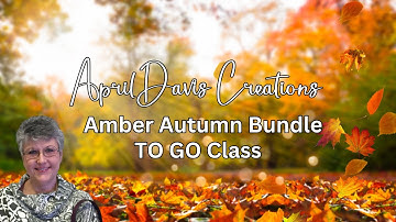 Stampin’ Up! - Amber Autumn Bundle - TO GO Class