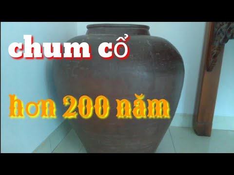 Video Chum cổ hơn 200 năm tuổi, đồ cổ, chum cổ Việt Nam - youtube