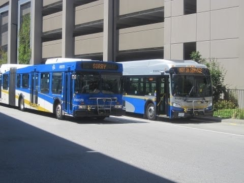 Buses in Vancouver, BC (Volume Fifteen) - YouTube