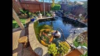Complete video overview of DIY 4,000 gallon koi pond / RDF / Shower Filter / Moving Bed Filter