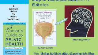 A Quick Guide to the Female Urinary System screenshot 5