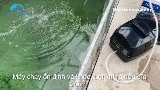 Máy Sục Khí Tích Điện Hồ Koi, Bể Hải Sản Hailea CP60