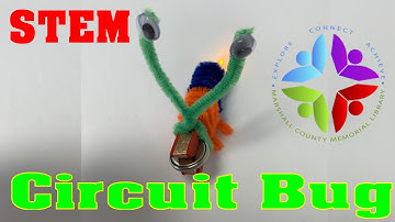 STEM Project Circuit Bug