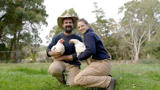 How to Raise a Year&#39;s Supply of Chicken - Free Range Homestead Ep 41