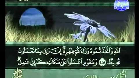 القرآن الكريم   الجزء الثاني عشر  للشيخ سعد الغامدي